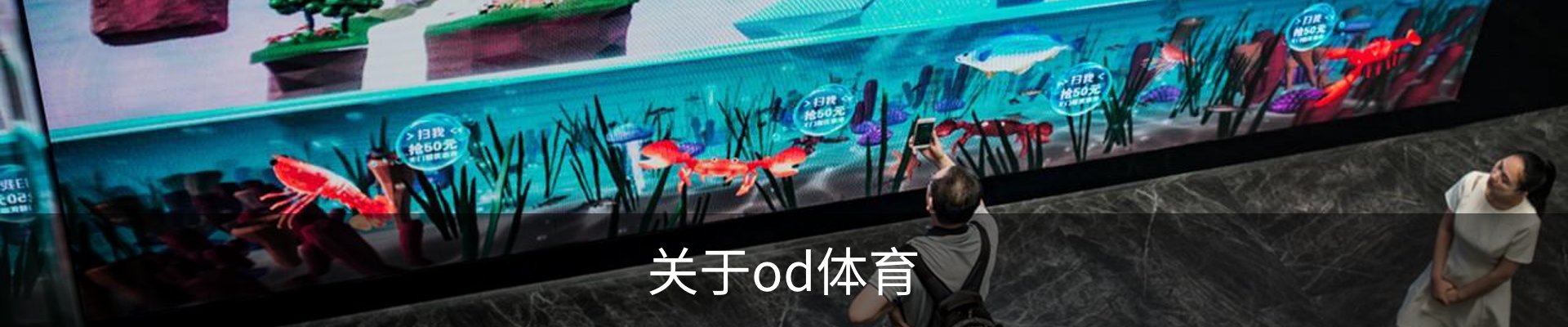 关于od体育