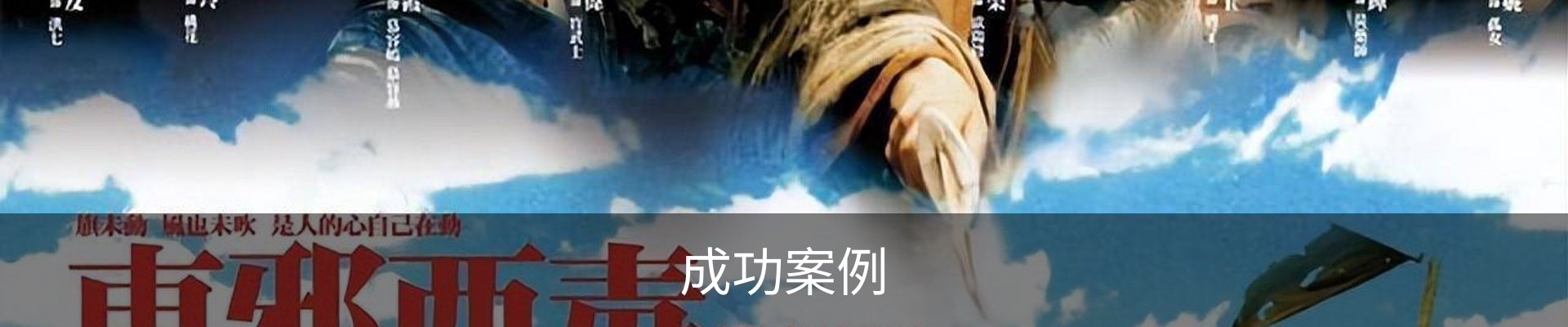 成功案例